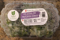 Green Boston, Red & Green Oak Live Lettuce Trio
