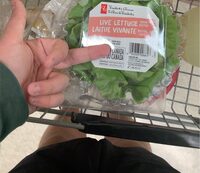 Lettuce