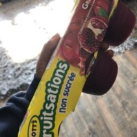 Mott's Fruitsations Unsweetened