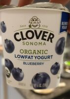 Blueberry low-fat Yogurt