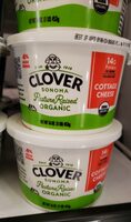 Cottage Cheese