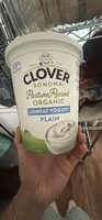 Lowfat Yogurt Plain
