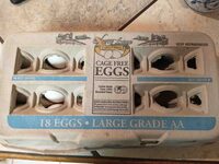 Large Egg