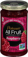 All Fruit Spreadable Fruit Raspberry