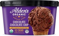 Chocolate chocolate chip ice cream
