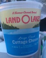 Cottage Cheese