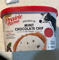 Premium pure mint ice cream with real chocolate chips