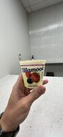 Good & creamy lowfat yogurt
