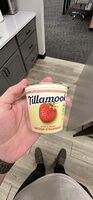 Lowfat yogurt
