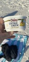 Cottage Cheese