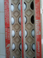 Large eggs