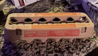 Cage Free Large Eggs