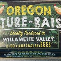 Oregon Pasture Raised Eggs