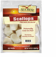 Scallops