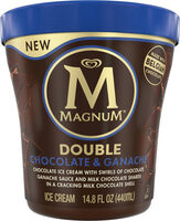 Chocolate ice cream with swirls of chocolate
