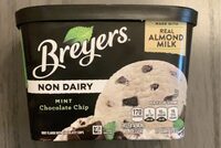 MINT Chocolate Chip Ice Cream