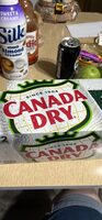 Ginger ale zero sugar