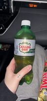 Zero Sugar Ginger Ale