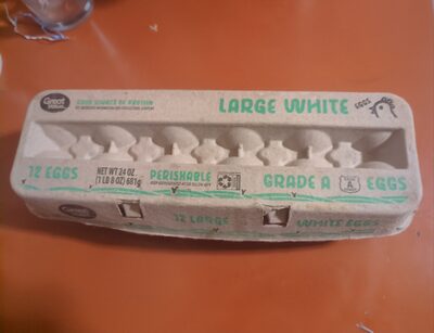 Large White Eggs