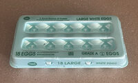 Large White Eggs