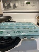 Large White Eggs