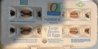 Large Brown Eggs
