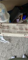 12 Large Fresh Eggs