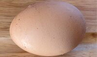 Eggs