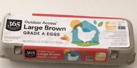 Outdoor Access Large Brown Eggs