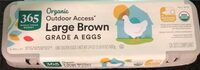 Outdoor Access Large Brown Eggs