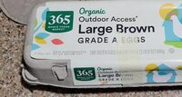 Large Brown Eggs