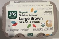 Organic Outdoor Access Large Brown Eggs