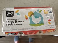 Outdoor Access Large Brown Grade A Eggs