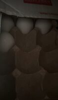 Cage Free Grade AA Large Eggs