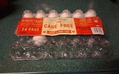 Cage Free Grade A Large Eggs