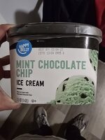 Mint chocolate chip ice cream