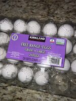 Free Range Eggs Grade A Large