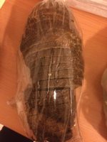 Pain