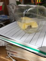 Ananas