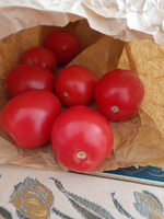 Tomates  allongées