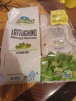 Lattughino