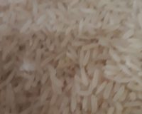 Riz Thaï 1/2 complet 10 kg