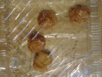 Chouquettes x 30