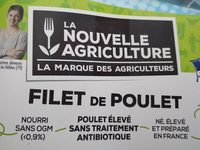 Filet de poulet