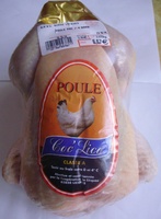 Poule
