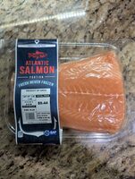 Atlantic Salmon