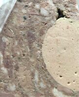 Terrine de canard