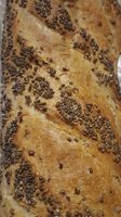 Baguette Quinoa