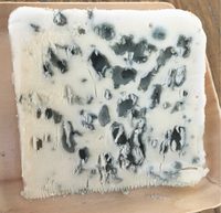 Roquefort AOP