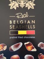 Belgian seashells